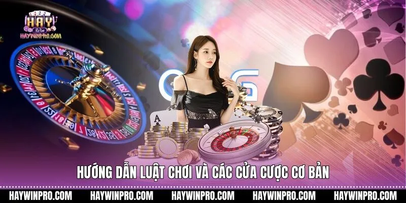 Hướng dẫn luật chơi và các cửa cược cơ bản