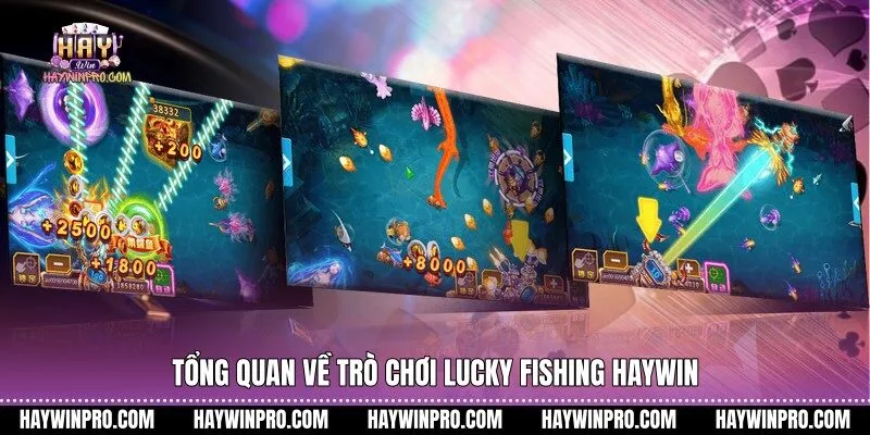 Tổng quan về trò chơi Lucky Fishing HAYWIN